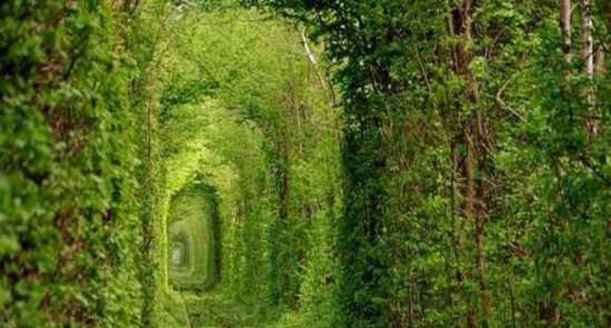 Destino – Túnel do Amor